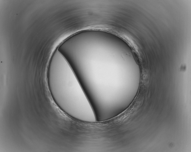 X0000096390952200801241113