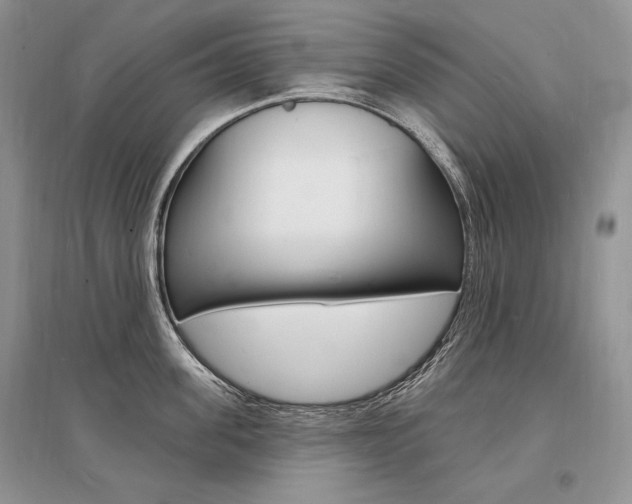 X0000096390955200801241113