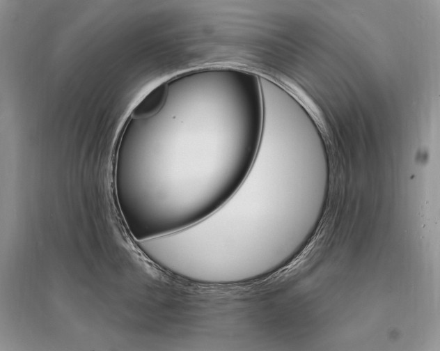 X0000096390956200801241113