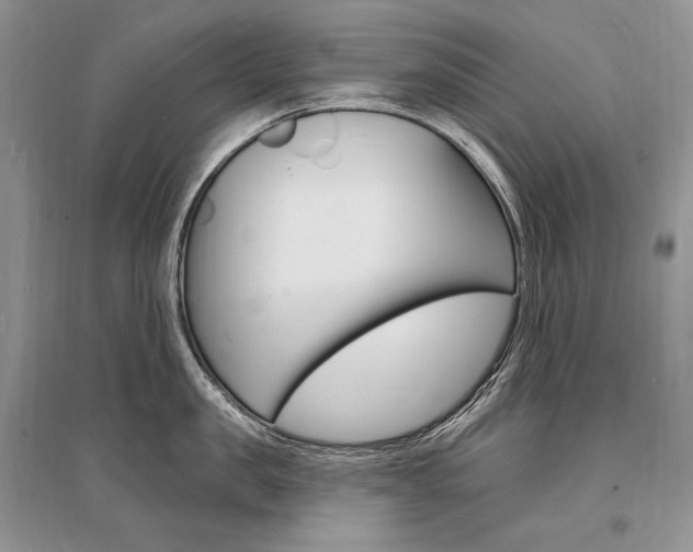 X0000096390957200801241113