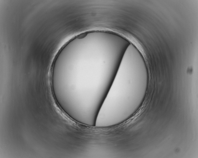 X0000096390958200801241113
