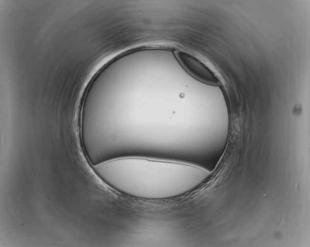 X0000096390959200801241113