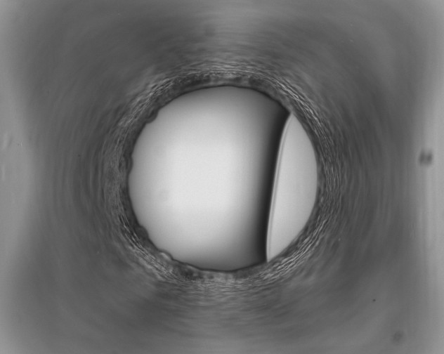 X0000096390961200801241112