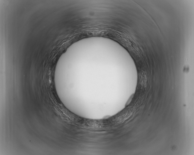 X0000096390962200801241112