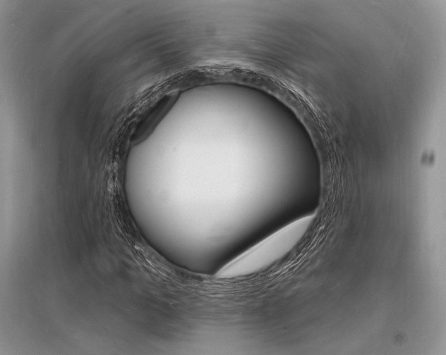 X0000096390965200801241112