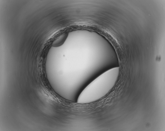X0000096390968200801241112
