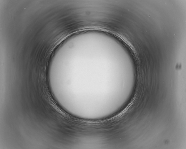 X0000096390969200801241112