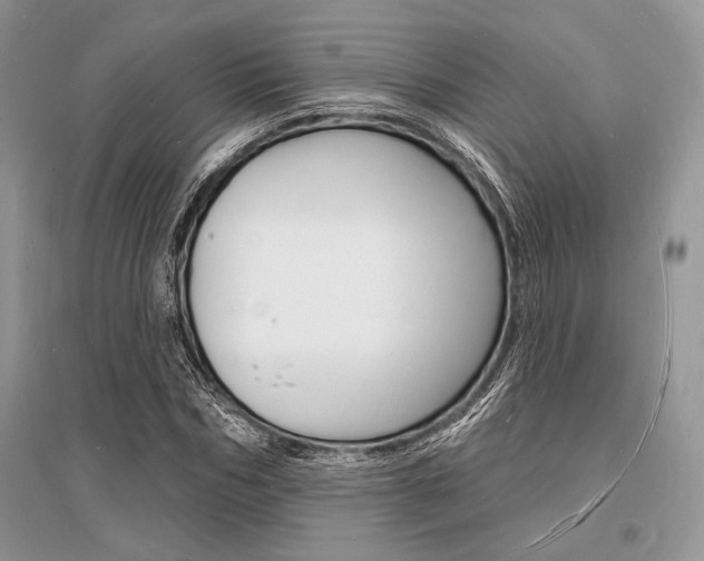 X0000096390970200801241112
