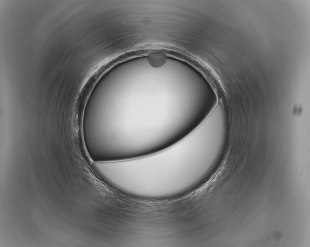 X0000096390973200801241112