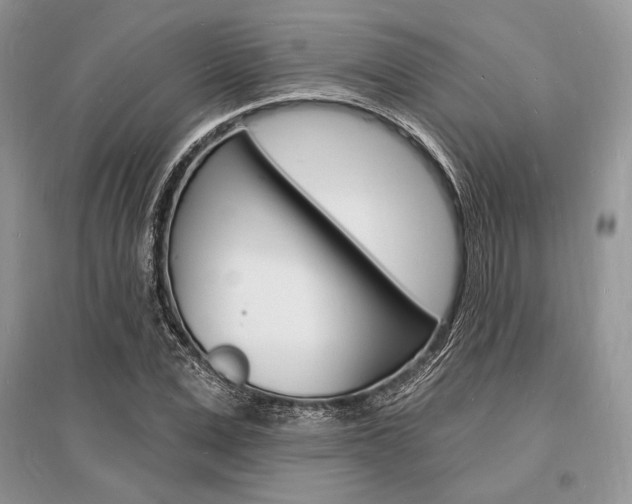 X0000096390975200801241112