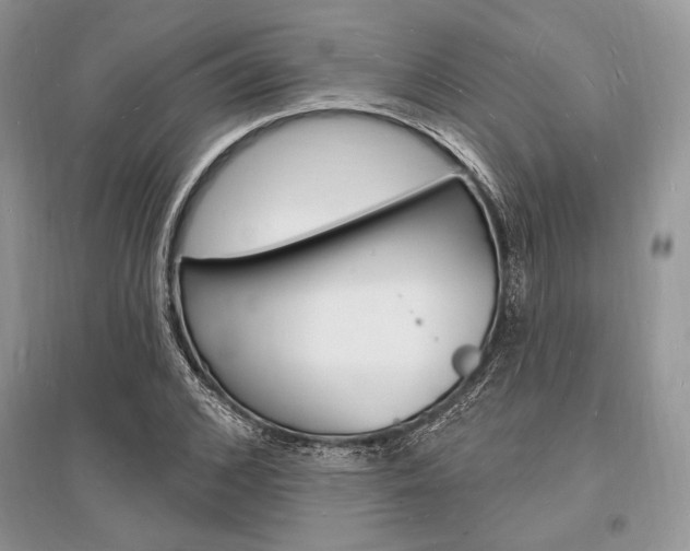 X0000096390976200801241112