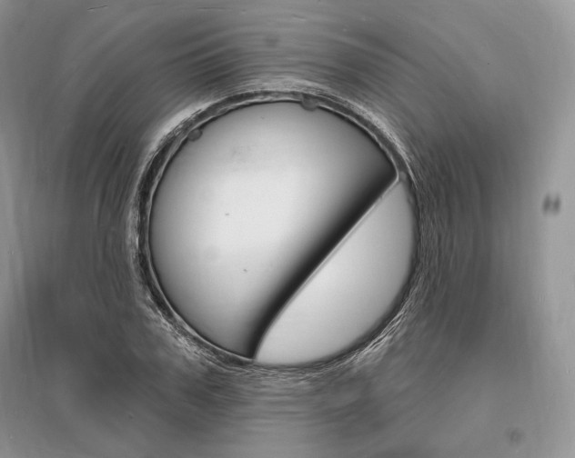X0000096390979200801241112
