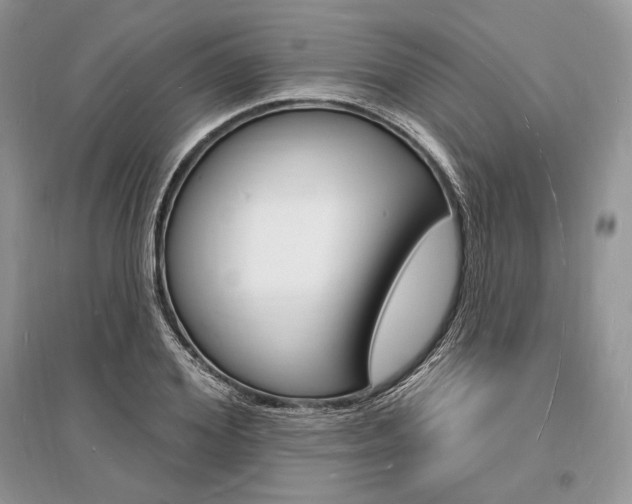 X0000096390980200801241112