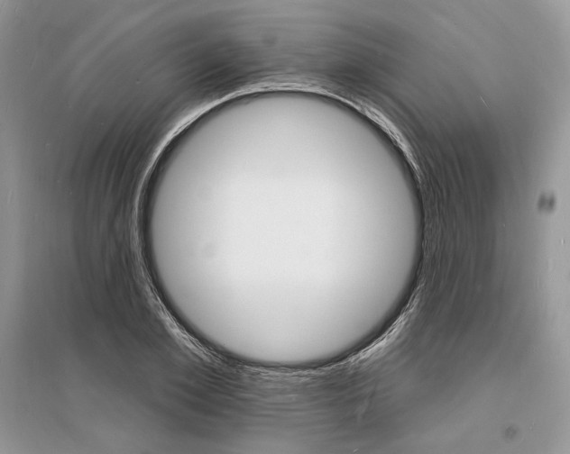 X0000096390981200801241112