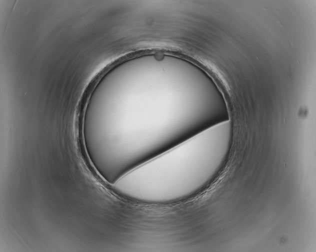 X0000096390983200801241112
