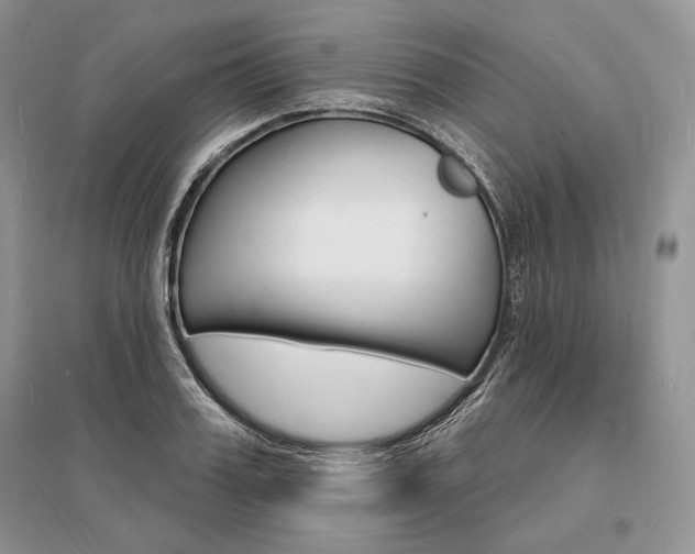 X0000096390987200801241112