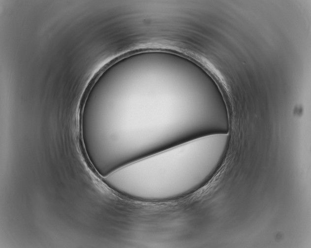 X0000096390988200801241112