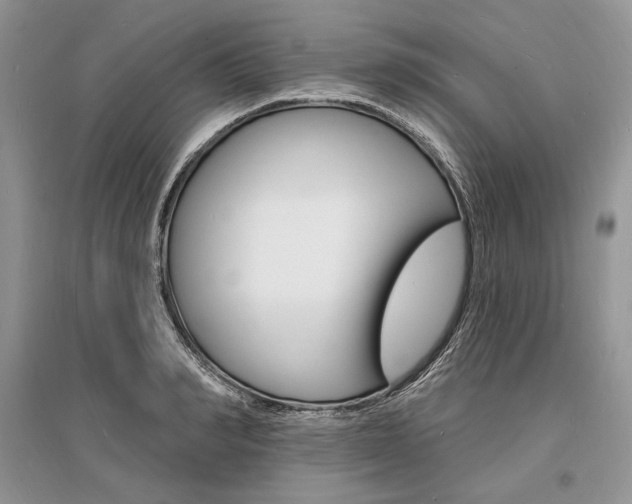 X0000096390990200801241112