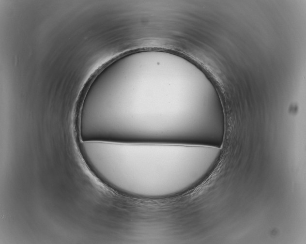 X0000096390991200801241112
