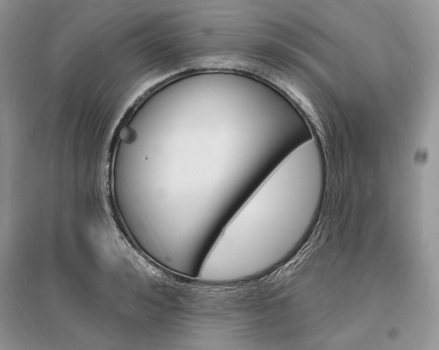 X0000096390992200801241112