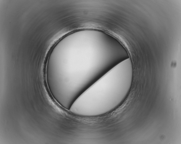 X0000096390995200801241112