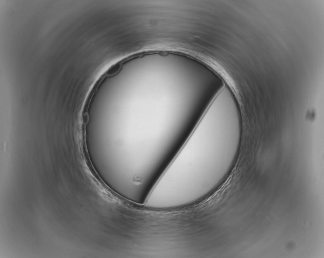 X0000096390996200801241112