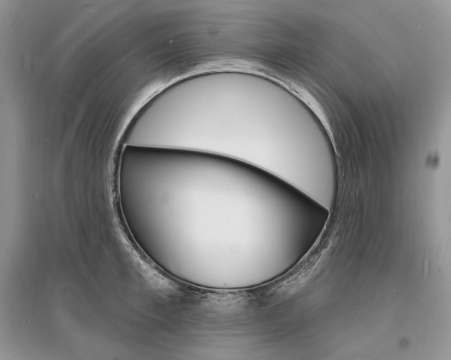 X0000096390997200801241112