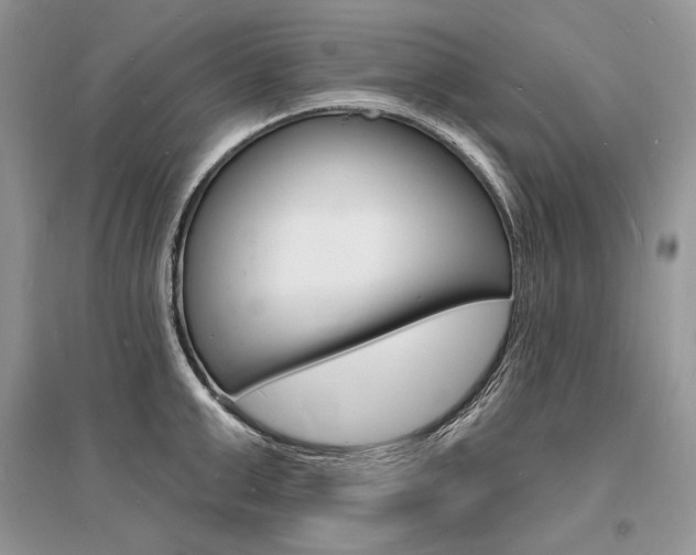 X0000096390999200801241112