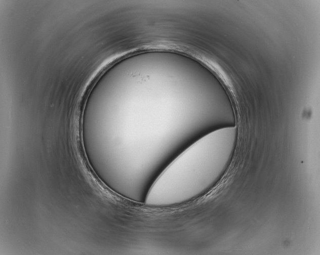 X0000096391000200801241112
