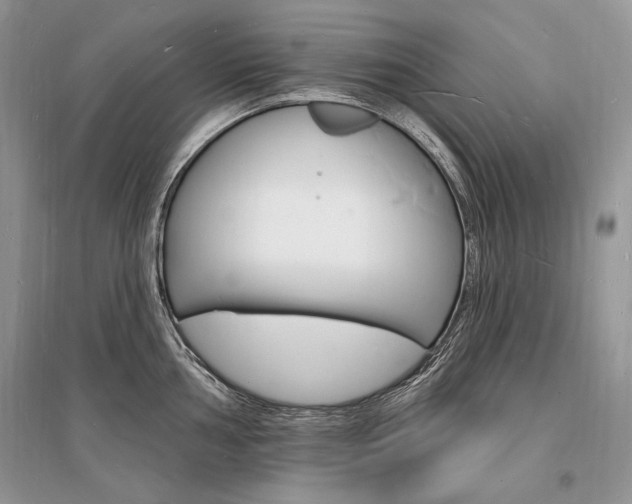 X0000096391002200801241112