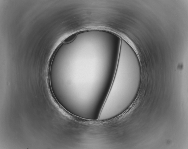 X0000096391005200801241112