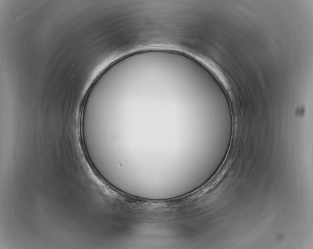 X0000096391006200801241112