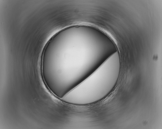 X0000096391007200801241112