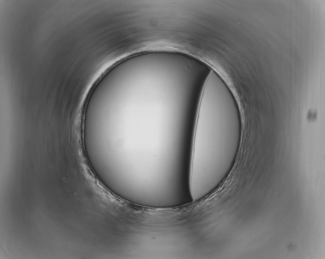 X0000096391008200801241112