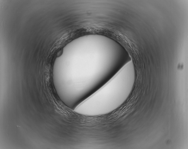 X0000096391012200801241111