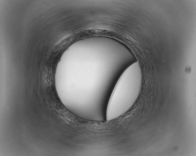 X0000096391014200801241111