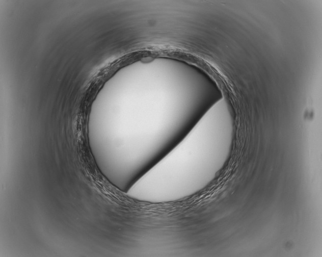X0000096391016200801241111
