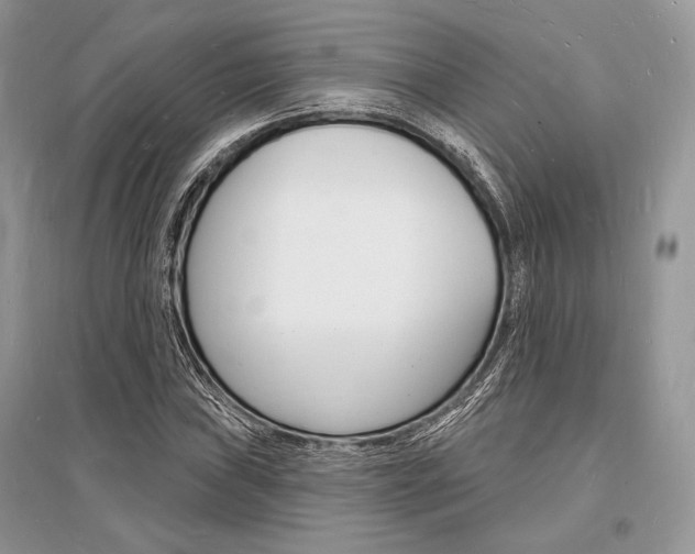 X0000096391019200801241111