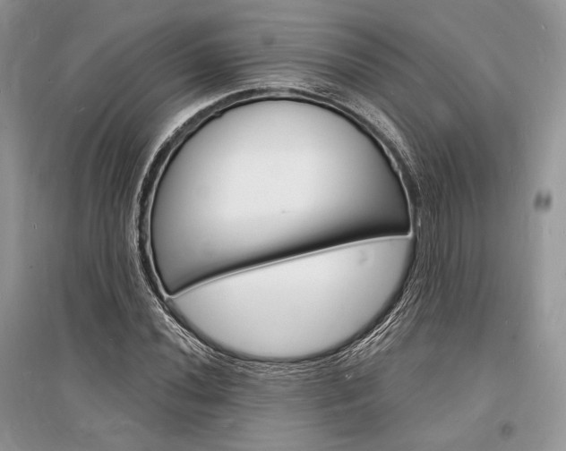 X0000096391020200801241111