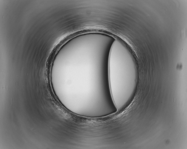 X0000096391022200801241111