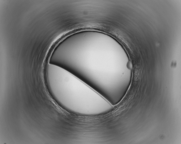 X0000096391024200801241111