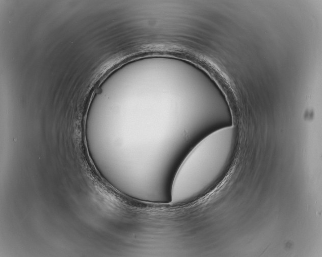 X0000096391025200801241111