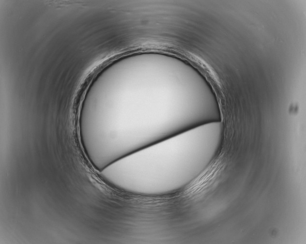 X0000096391027200801241111