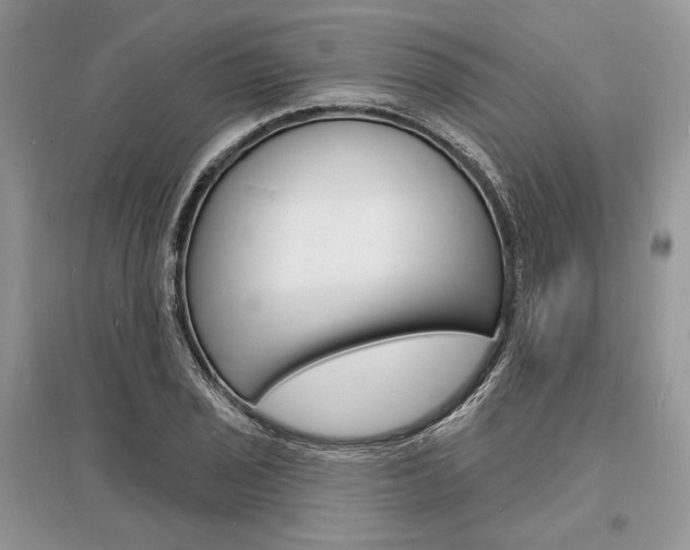 X0000096391029200801241111
