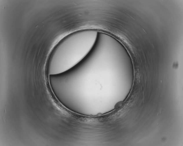 X0000096391030200801241111
