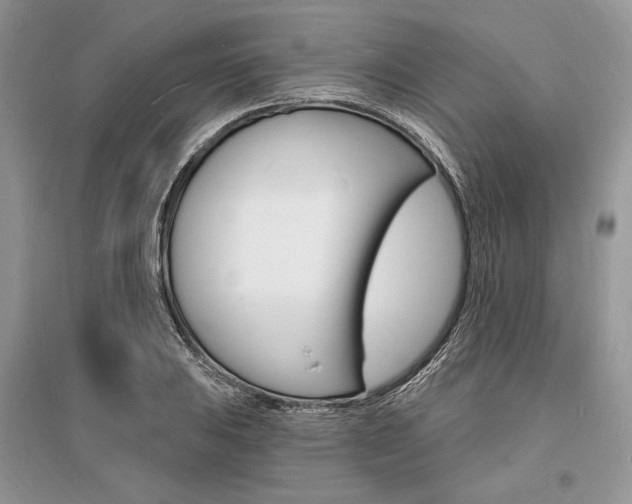 X0000096391031200801241111