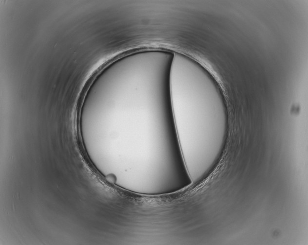 X0000096391032200801241111