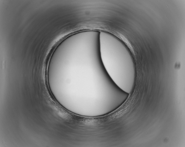 X0000096391035200801241112