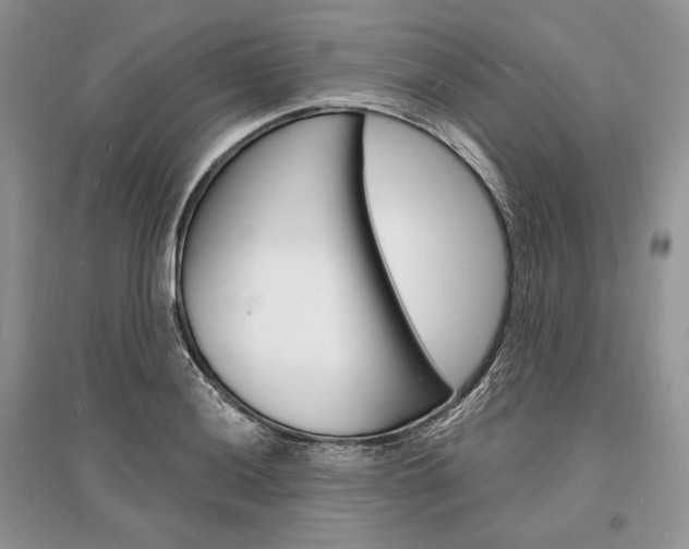 X0000096391036200801241112