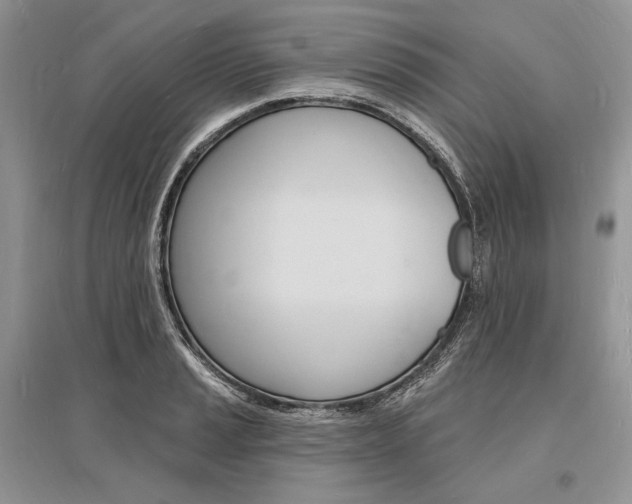 X0000096391037200801241112